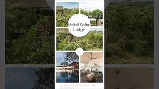 Mdluli Safari Lodge - Kruger National Park South African #gamereserve