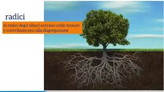 Processi di pedogenesi