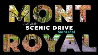 Don't miss this Scenic Drive in Autumn to see the Fall Foliage in Montreal Mont-Royal 🇨🇦 2024