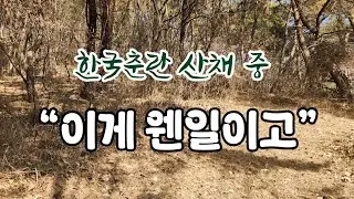 귀신이 곡 할 노릇. 난초는 찾았는데… 텀블러는 어디로? #kf석천tv #귀농귀촌 #난초 산채 #한국춘란 #합천춘란 #태극선 #천종 #중투호 #복륜화 #소심 #선물용난 #보름달 