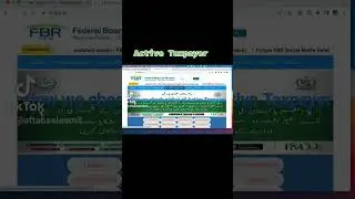 How to check Active Taxpayer