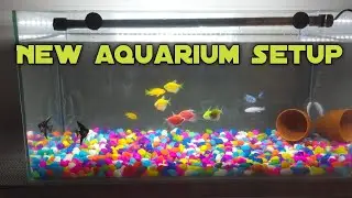 Settings up a new aquarium