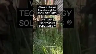 CLIMATE CHANGE threatens global food security impacting on extreme weather events (solution VETIVER)