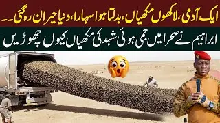 The Shocking Sahara Experiment: Why Ibrahim Traor&eacute; Released Millions of Frozen Bees | 94 News