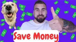3 Hacks To Save Money At The Vet