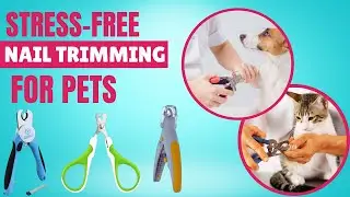 Best Cat And Dog Nail Clippers - Keep Those Paws In Perfect Shape