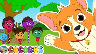 Bingo + Finger Family - Nursery Rhymes & Kids Songs | Baby Songs