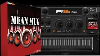 Top VST Plugins - Top 5 Free VST Plugins For Mixing Bass Plugins Mean Mug