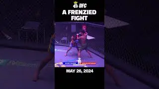 A FRENZIED FIGHT #dynastyfightclub #pinoy #mma #highlight #wow #viral #sports #foryou #boxing #urcc