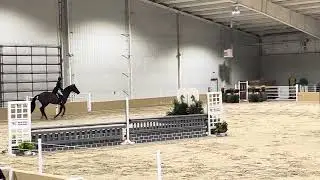 2025- NEC Hunt and Go Derby on Belamour 