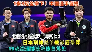 WTT多哈球星賽：1夜3冠全拿下！中國選手包攬，週啟豪強勢黑馬封王，日本削球體係被徹底擊穿，19歲溫瑞博雖敗依舊驚艷！#王楚欽#孫穎莎#梁靖崑#林詩棟#王藝迪#王曼昱#樊振東#金牌#奧運會#乒乓球