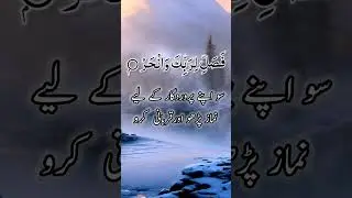Beautiful Recite Surah Al Kosar - #quran #dailyquran #shorts #ytshorts #quranrecitaion