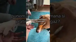 acum nu mai pot da &icirc;napoi:(