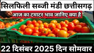 22 दिसंबर 2025 सिलफिली सब्जी मंडी |Silphili sabji mandi#surajpur#bajar#sabji#ambikapur#food #vlog