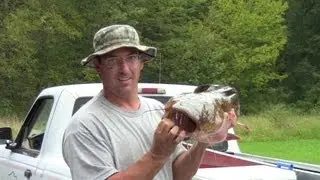 20 lb Susquehanna River Flathead Catfish Catch - York Haven