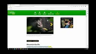 Microsoft Edge: Read Aloud
