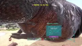 New Ark Private Server PVE/PVP