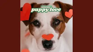 Puppy Love