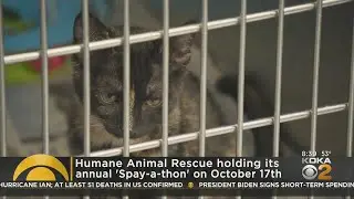 Humane Animal Rescue of Pittsburgh hosting Spay-A-Thon