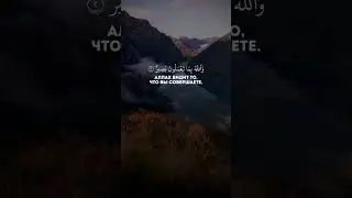 Ибрахим аш-Шишани#Allah #quran #Muhammadﷺ #surah #ayat #islam #muslim #sabr #المصحف