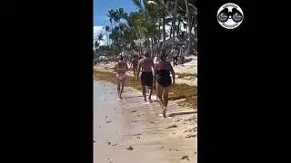 2023 Sargassum - Dominican Republic - Majestic Elegance Punta Cana