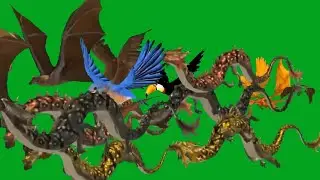 Eagles Bats  Dragon and Other Birds Animals  Right to Left Line Flying Green Screen Best HD Green Sc