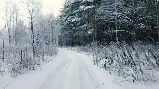 Driving home along a snowy road in a winter forest