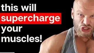CARNIVORE MUSCLE BUILDING PRINCIPLES