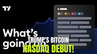 Crypto EXPLODES: Meme Coins, AI Stocks, Trump's Bitcoin Venture & ARK Invest!