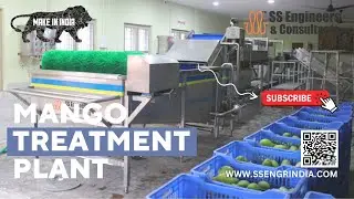 Mango Treatment Plant | Mango processing 🥭| #ssec #ssengrindia