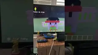 Rowlet in Minecraft