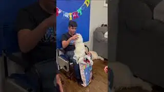 An Emotional Gift After Pet Loss | Petsies&copy;
