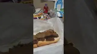 Giant gyro sub
