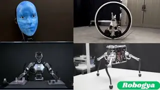 Kitchen robot Chef Magic, Sanctury AI , Cucumber harvesting robot, Space Hopper robot and more |