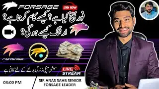 Forsage Busd Complete Plan By Sir Muhammad Anas