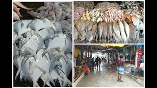 Avadi Fish Market Walkthrough 1080p 60fps Video | All Variety of Fish, Prawn, Crab & Squid
