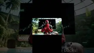 Moodeng ETH vs SOL &mdash; the PVP battle is nearing its end? #Moodeng #Vitalik #deadpool #memecoin