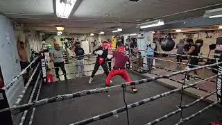 Good sparring   