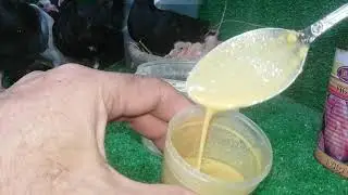 اسهل وارخص زغاطة زغاليل لكل الاعمار