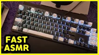 【FAST ASMR】 ABKO K995 V3⌨️ | NIZ EC (Noppoo) | Keyboard Typing ASMR | No ADs No Talking😴