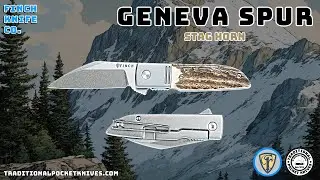 Finch Knife Co:  Geneva Spur - Stag Horn