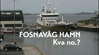 Fosnav&aring;g hamn - utdjupinga og milj&oslash;oppryddinga som vart for dyr og vanskelig..