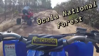 Ocala National Forest ATV Trails