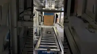 Plastic bag forming insertng carton case box placing feeding machine