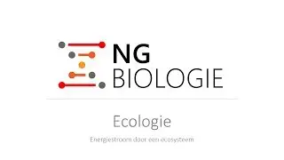 Ecologie - energiestroom in een ecosysteem - HAVO/VWO