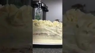 Really good 👍 Cake 🎂 Design Don&rsquo;t Forget to Subscribe and like 👍