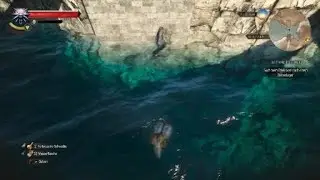 The Witcher 3: unexpected dive