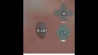 SmallTribes Moment