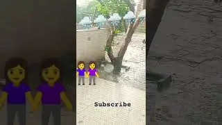 barish#alert #viralvideo #barish #rain #alert #rainsounds #rainbowsixsiege #rainbow