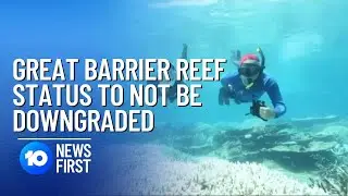 Great Barrier Reef's World Heritage Status Will Not Be Downgraded | 10 News First